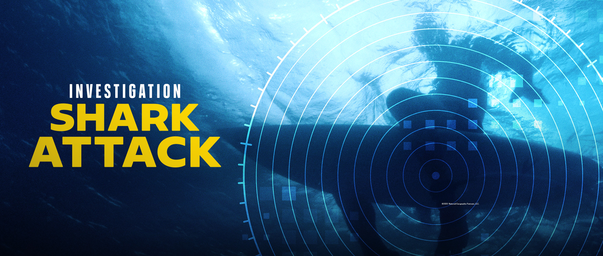 Investigation Shark Attack