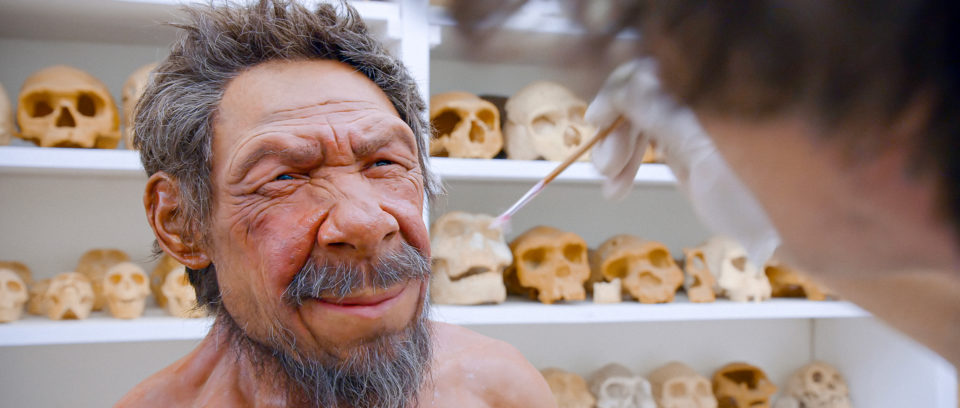 Who Was The Real Neanderthal